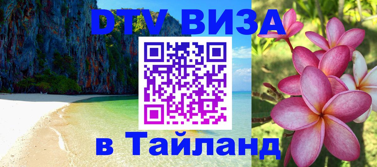 Оформление DTV визы под ключ: стоимость и тарифы, только загранпаспорт - 
